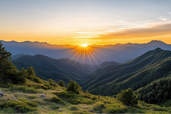 Where It All Began …